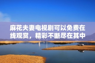 麻花夫妻电视剧可以免费在线观赏，精彩不断尽在其中