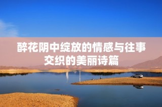 醉花阴中绽放的情感与往事交织的美丽诗篇