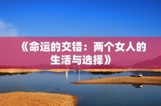《命运的交错：两个女人的生活与选择》