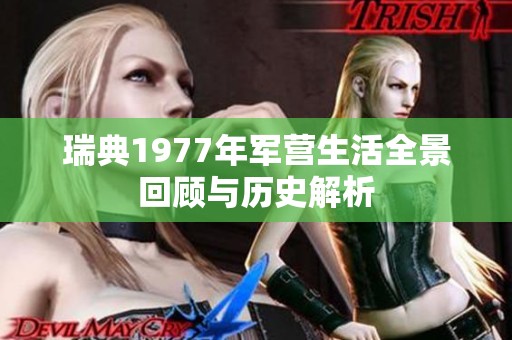 瑞典1977年军营生活全景回顾与历史解析