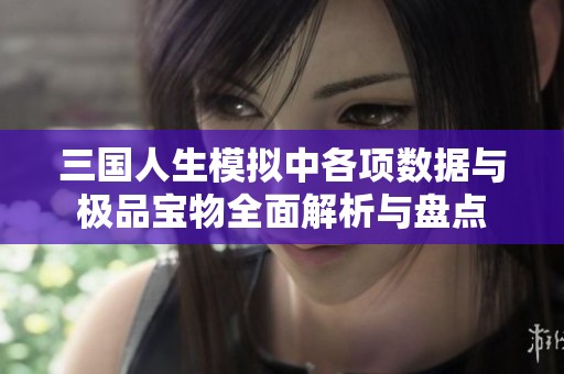 三国人生模拟中各项数据与极品宝物全面解析与盘点